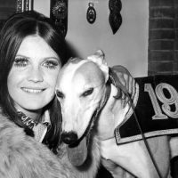 sandie shaw