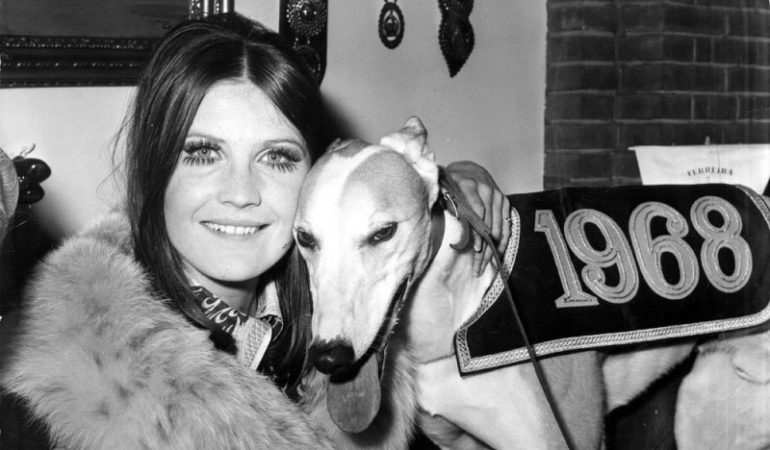 Sandie Shaw Agreed To Eurovision Over Divorce Drama