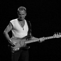 sting